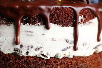 biscuit cake with cream cheese and chocolate topping with fresh berries closeup. chocolate drip on cake closeup. Creamy cheesecake with chocolate cookies and cream biscuits. dessert isolated on black
