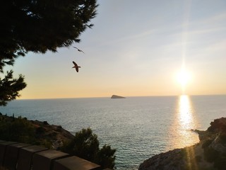 sunset over the sea