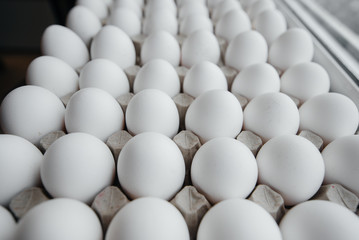Tray of white fresh eggs close-up on a cardboard form. Agricultural industry
