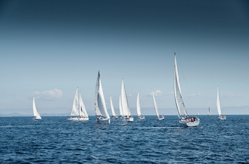Obraz premium The race of sailboats, a sail regatta, reflection of sails on water, Intense competition, number of boat is on aft boats, Bright colors, island is on background