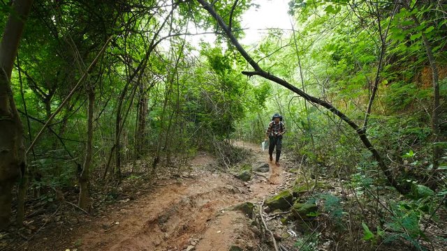 man traveler with backpack and map in the natural forest