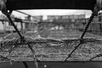 A view of rotten fishing net left in the beach