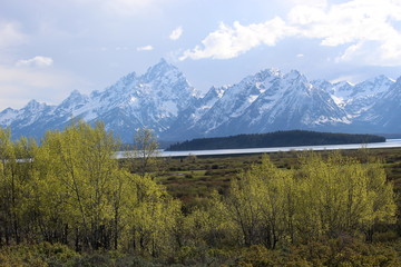 Teton National Park
