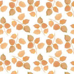 red leaves painted by watercolor isolated on a white background. Botanical art. Suitable for print and wrapping paper.