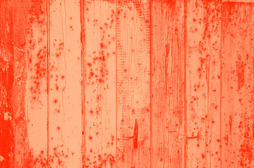 abstract live coral color background for design