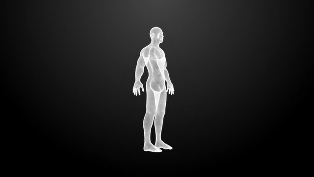 The hologram of rotating human. White 3D animation of human with a seamless loop