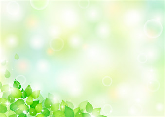 Fototapeta premium 葉61