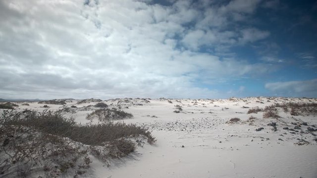 desert beach at  el cotillo in Fuerteventura