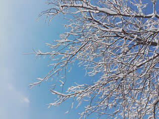 The world after snow