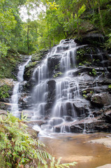 Waterfall in the forest, Blue Mountains