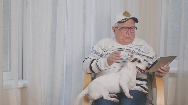 elderly man wearing striped sweater and marine hat holding expensive tablet caresses funny white dog with black spot