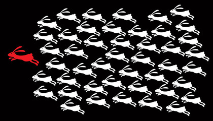 leadership concept, rabbit  in group