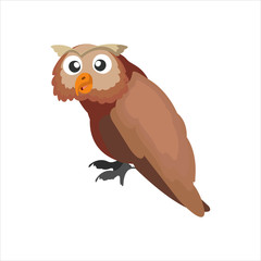 Cute animal owl clip art bird illustration cartoon character