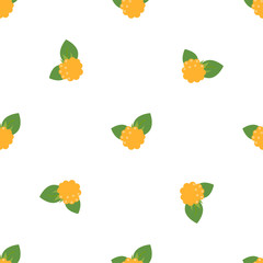 Cloudberry. Colored Vector Patterns 