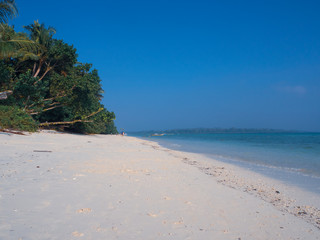 White sandy Govind Nagar beach in the Andaman Islands, India under a clear blue sky