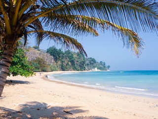 Sandy beach front in Sitapur beach, with trees. Andaman islands in India, South-East Asia, taken at daytime. Clear sky and blue waters