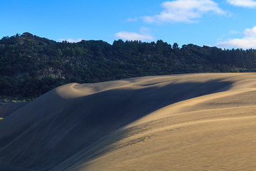A giant inland sand dune surrounded by forest at Bethells Beach, New Zealand