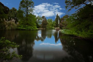 Adelaide Botanic Garden Lake