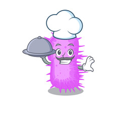 acinetobacter baumannii chef cartoon character serving food on tray