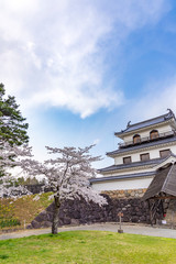 宮城　白石城と桜
