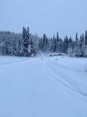 snow covered road