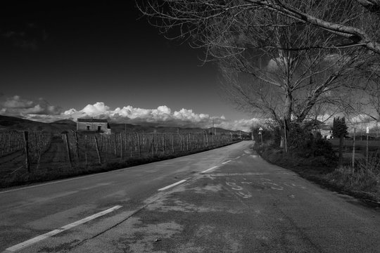 Road Amidst Bare Trees Against Sky © cosimo antitomaso/EyeEm