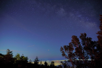 Fototapeta premium 雲海と星空の幻想的な風景 / Fantastic landscape of sea of ​​clouds and starry sky