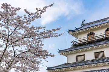 Fototapeta na wymiar 宮城　白石城と桜
