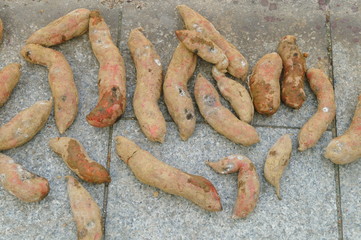 Fresh sweet potatoes
