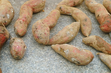 Fresh sweet potatoes