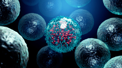 Antibodies destroy an infected cell by a  virus, immun defense kill the infected cell  
