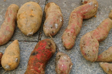 Fresh sweet potatoes