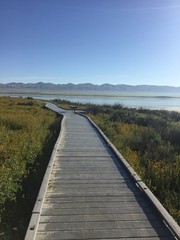 boardwalk by the salt lake