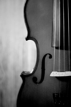 mitad de un violin con fondo de color madera en blanco y negro