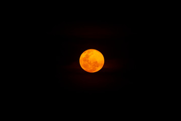 Oange full moon in the dark background.