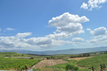 Agricultural Fields Landscape