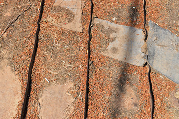 Old patio wood plates close-up