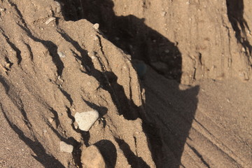 Sand background texture