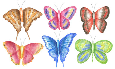 Set of butterflies two