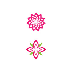 Beauty Vector lotus icon