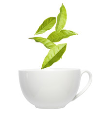 Green tea leaves falling into cup on white background