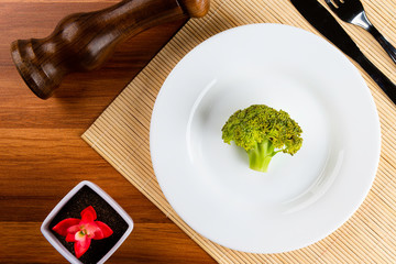 Small piece of brocolis on a plate. Slimming concept.