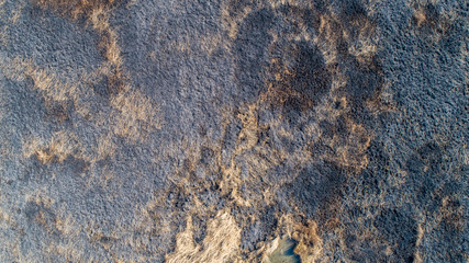 Earth on the field after a strong fire, burnt reeds in the wild