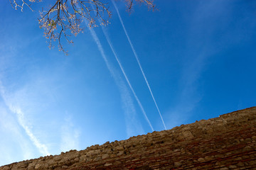 Fototapete bei efototapeten.de bestellen   