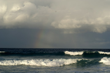 SONY DSC
