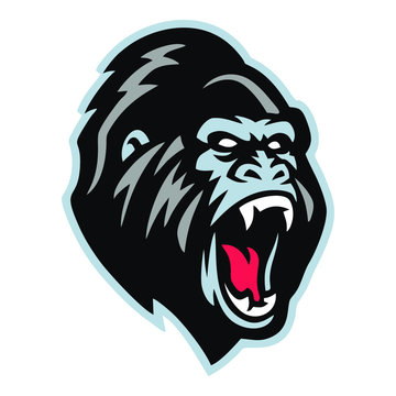Gorilla Sports France