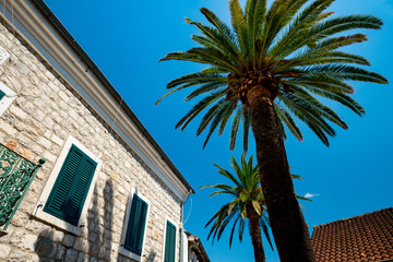 Mediterranean house made of brick and palm trees