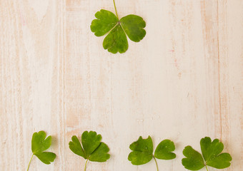 clover on wooden background. The symbolism of the Four Leaves of Clover is the first for faith, the second for hope, the third for love, and the fourth for good luck. St.Patrick 's Day