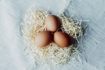 easter chicken brown eggs