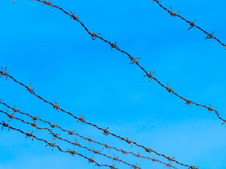 Security Fence In Prison